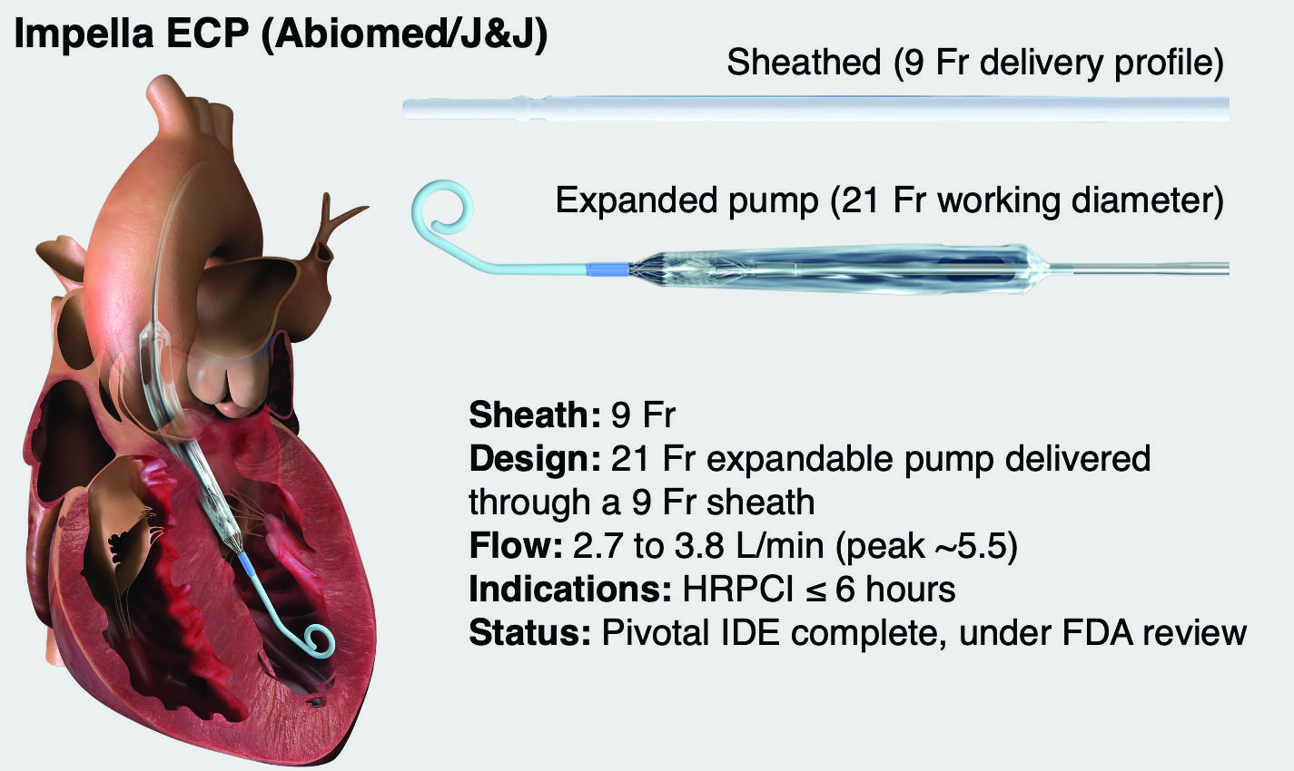 Next-Generation Temporary Mechanical Circulatory Support for High